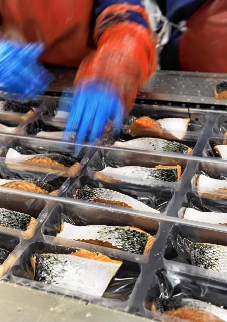 The Edinburgh Salmon Company in Dingwall could close with the loss of hundreds of jobs.