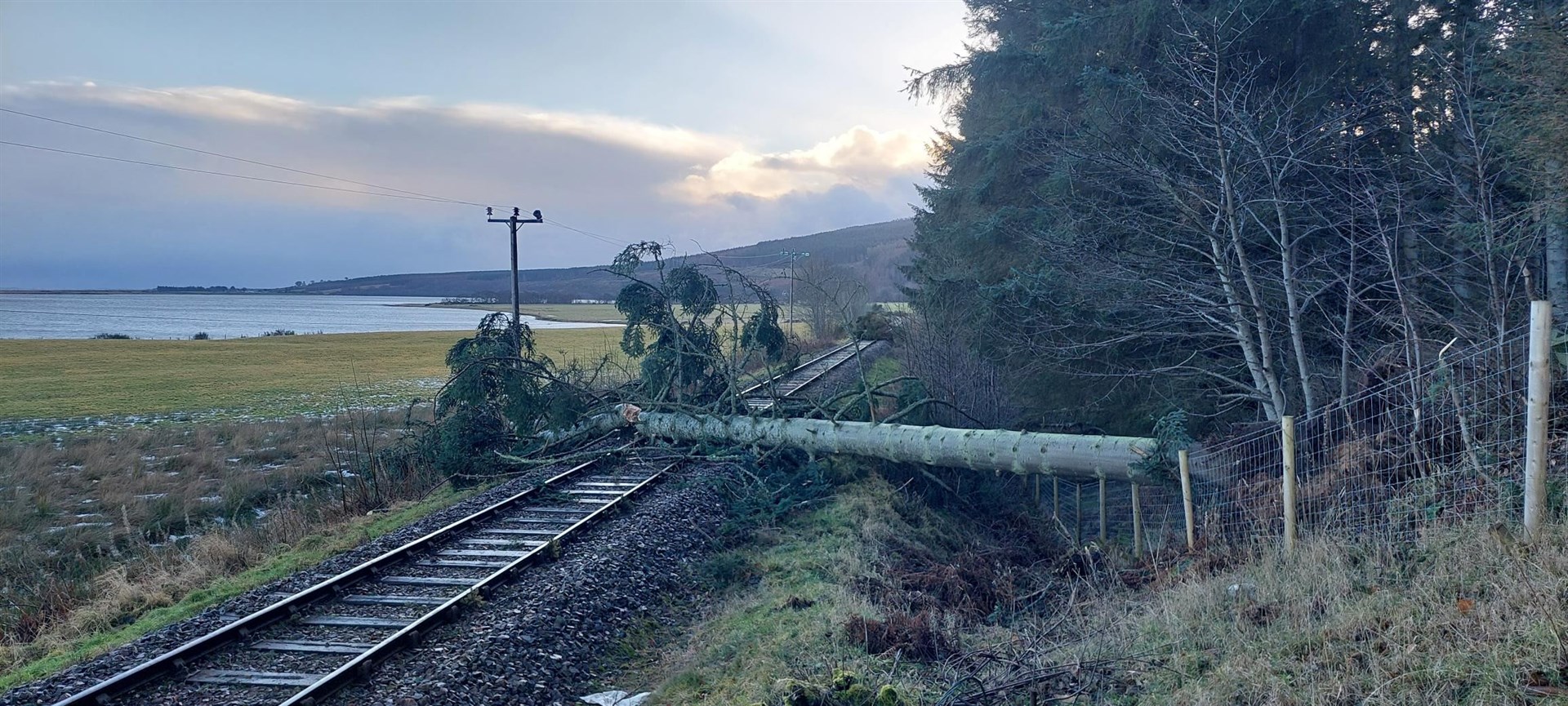 A tree was brought down by Storm Jocelyn on the rail line at Tain.