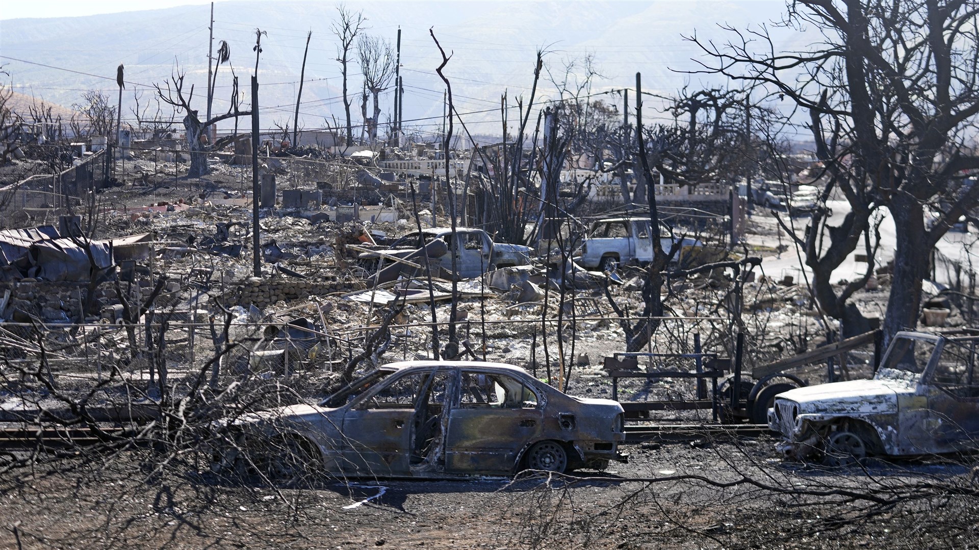 Destroyed homes and cars in Lahaina (AP)