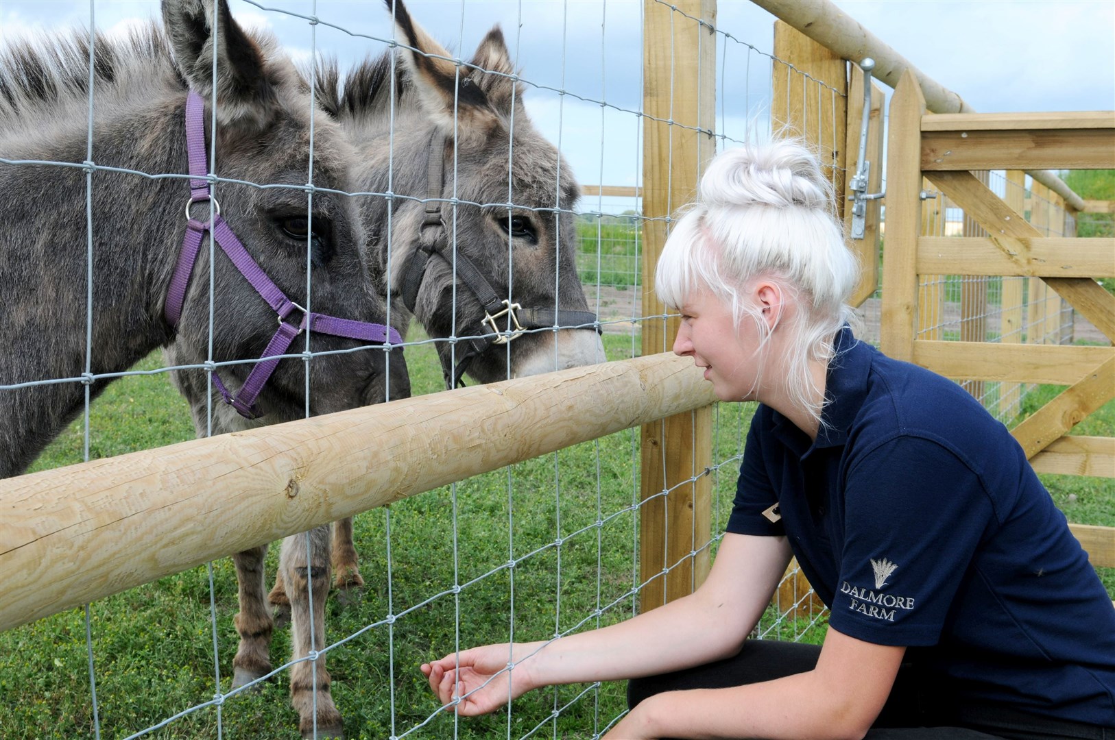 Alice Mackenzie, animal carer, saying hello to the donkeys, Hanna and Chloe.Picture: James Mackenzie.
