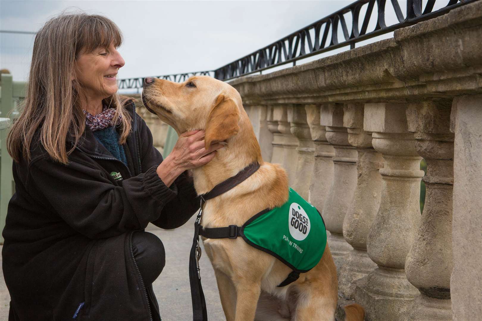 Assistance dog in training - puppy with lady. Picture: Dogs for Good.