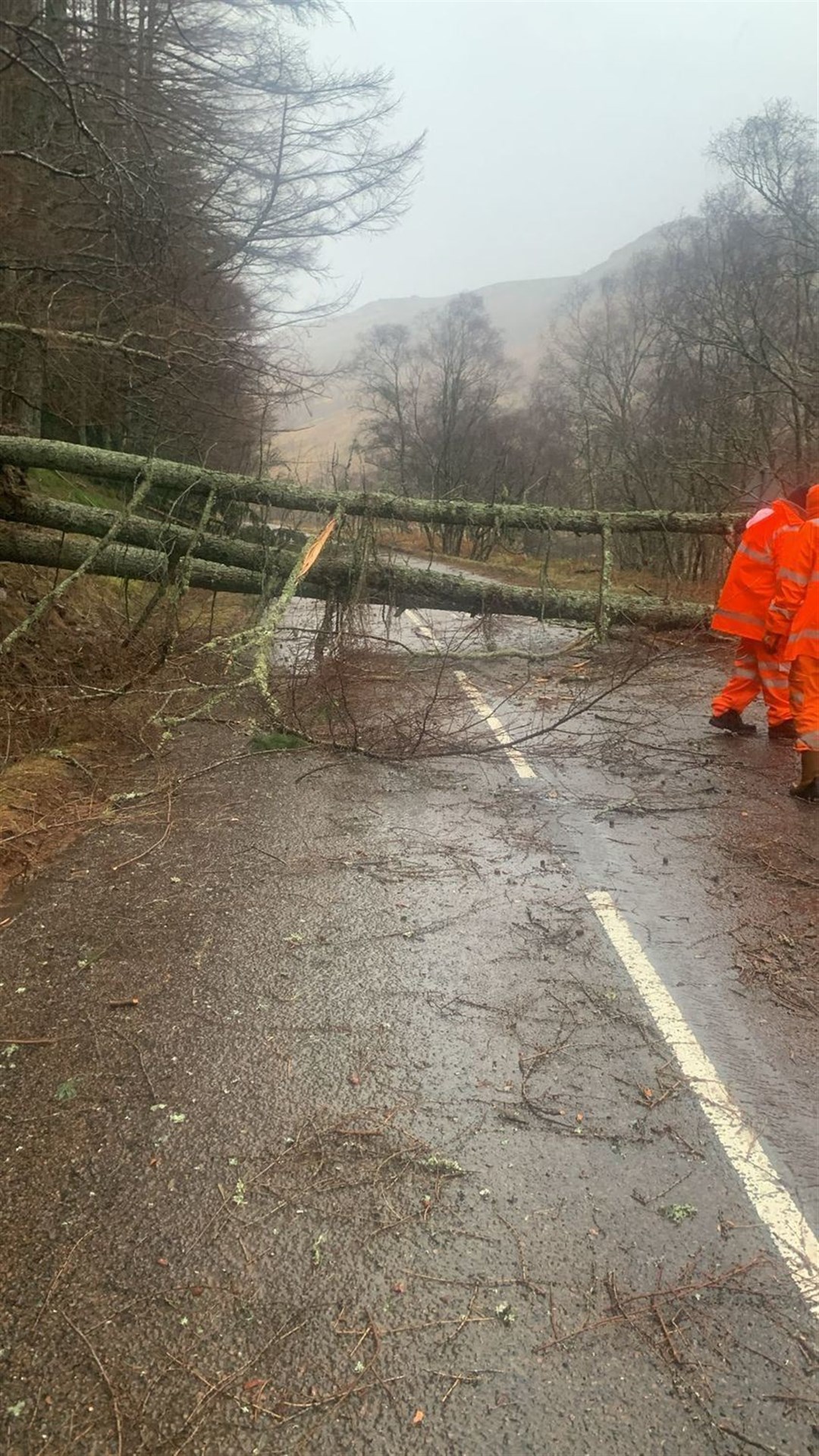 Fallen tree on the Dundonnel A832 Fain road cleared. Picture: Highland Council.
